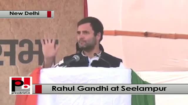 Delhi polls: Rahul Gandhi takes on PM Modi at Congress election rally