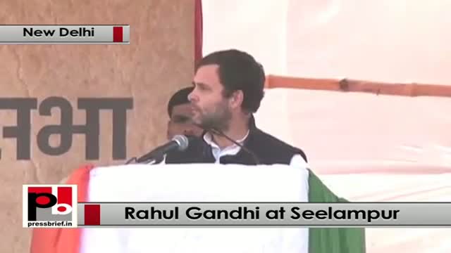 Delhi polls: Rahul Gandhi addresses Congress rally, attacks BJP, AAP, PM Modi