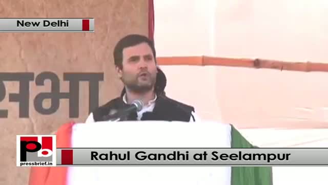 Delhi polls : Rahul Gandhi addresses Congress rally, slams AAP, BJP