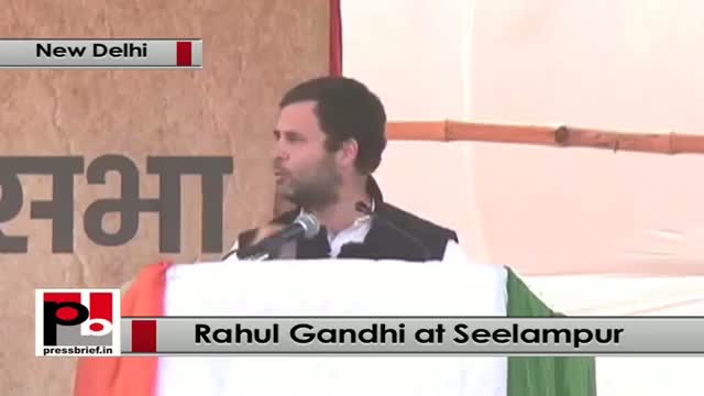 Delhi polls - Rahul Gandhi targets BJP, PM Modi and AAP at Congress rally