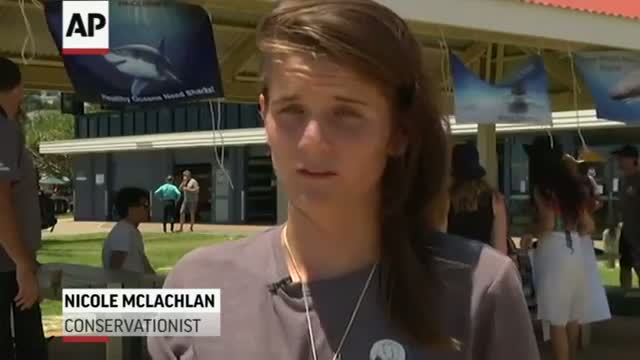 Activists Protest Australia Shark Control Policy Video