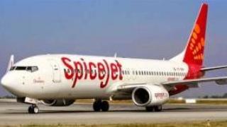Latest SpiceJet offers tickets 100,000 seats for fares starting at Rs 599
