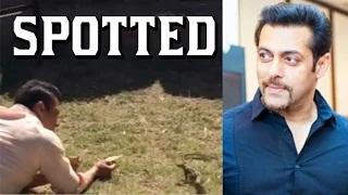 OOPS!! Salman SPOTTED Playing With Squirrel 