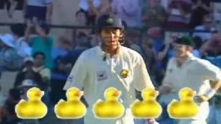 Cricket - Ducks, Ducks AND......Ducks !! LOL