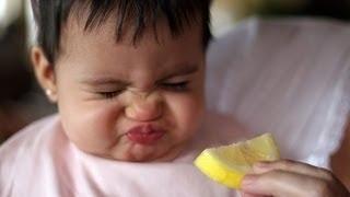 Babies Eating Lemons for First Time Compilation [HD]
