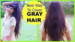 Best Way To Cover GRAY HAIR, How to Mix Henna Mehendi for Dark Hair Color Dye