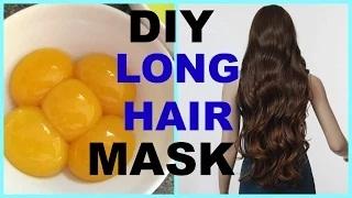EGG HAIR MASK For DRY FRIZZY HAIR and FAST HAIR GROWTH