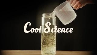 Cool Science! AMAZING