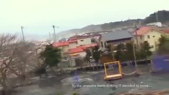 During Japan Tsunami a strange creature was caught on camera - real footage