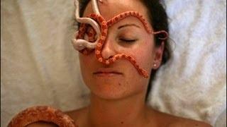 Fear of Snakes - AMAZING!!