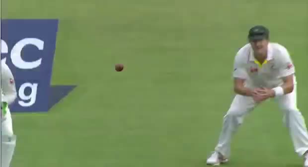 Mitchell Starc Gets Moeen Ali Wicket - England vs Australia 1st Investec Test Ashes 2015 Day 2