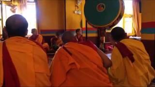 Tibetan Buddhist Monks POWERFUL Throat SINGING, Chant LIVE in Pokhara, Nepal
