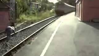 Under Train Lying Stunt - WhatsApp Amazing Video
