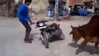 Best WhatsApp Funny Videos In Hindi Ever 2015