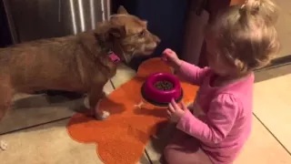 Cute Dog Fed by Adorable Baby