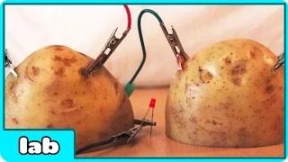 Cool Science Experiment - Potato Battery