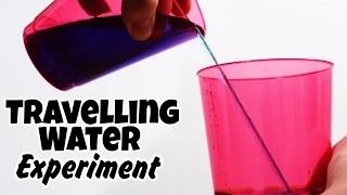 Amazing Science Experiments That You Can Do At Home - Travelling Water
