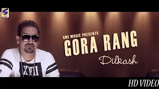 Latest Hits Punjabi Songs | Gora Rang | Dilkash | DJ Duster