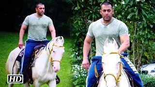 SPOTTED - Salman Khan Riding A Horse | Sultan