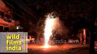 Children burn Fire Crackers on the eve of Diwali - Delhi (Happy Diwali)