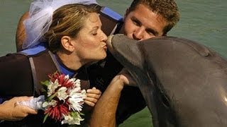 6 Bizarre Human-Animal Marriages!!