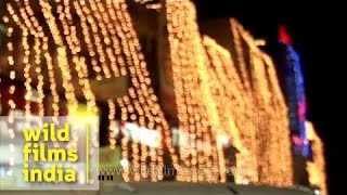 Diwali - The Festival of Lights (Happy Diwali)