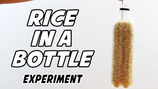 Floating Rice Bottle || How to Float Rice in a Bottle Science Experiment !!