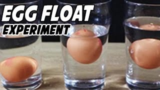 Egg Floating in Amazing Saltwater Experiment
