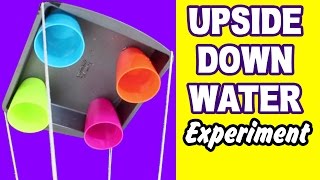 DIY Easy Science Experiment | Amazing Science Experiments