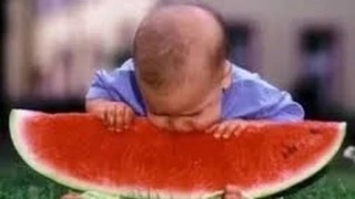 Funniest Baby Videos | 20 Min Laughing videos, Cute Babies