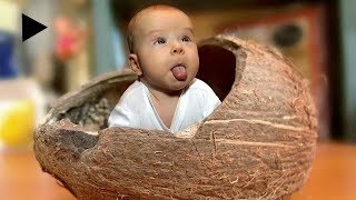 Best Funny Babies | Funny Videos - Funny Videos Compilation