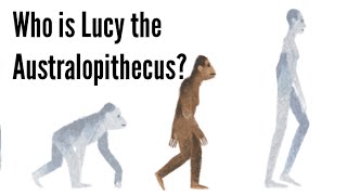 Who is Lucy the Australopithecus?