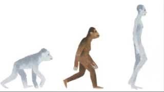 New Google Doodle Honors Lucy the Australopithecus