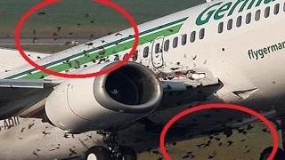 5 More Bizarre Airplane Accidents
