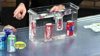 Float or Sink - Cool Science Experiment