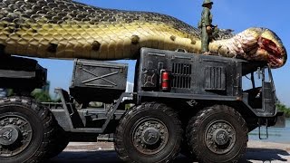 Giant Snake Caught in Red Sea