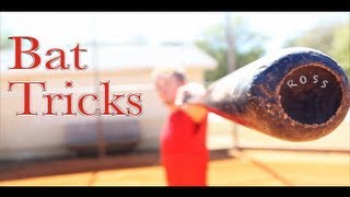 Awesome Bat Tricks || Amazing Video