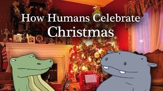How Humans Celebrate Christmas - Hippo & Croc