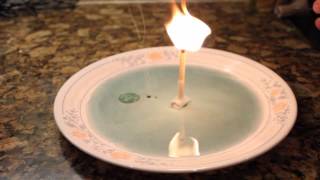 Simple Science Tricks With Household Items