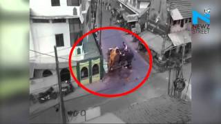 On Cam: Elephant in Kozhikode on rampage