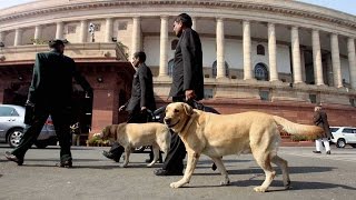 Army Dogs to march down Rajpath for Republic Day Parade