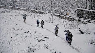 Heavy Snowfall in Japan injures 169 people