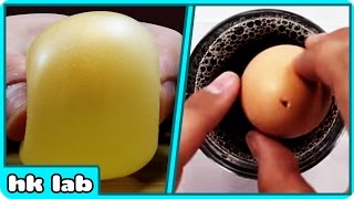 Best of Science Tricks With Eggs Cool Science Experiments Compilation