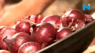 Wholesale onion prices dipped below Rs 10 per kg
