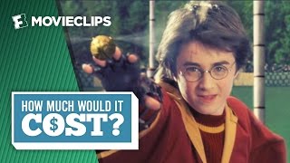 How Much Would It Cost: To Be A Wizard Like Harry Potter (2016) HD