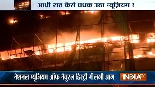 Massive Fire Destroys Delhi's National Museum of Natural History