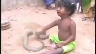 REAL ! Baby Playing with King Cobra  Animals Attack