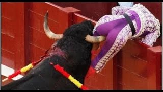 Best funny videos - Most awesome bullfighting festival - funny crazy bull fail (P4)