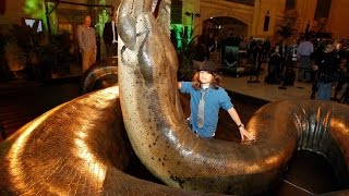 WORLD'S LARGEST BIGGEST SNAKE WAS FOUND DEAD - Chop Busters