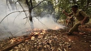 Fire continue to burn in Himachal forests